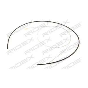 RIDEX 618A0010