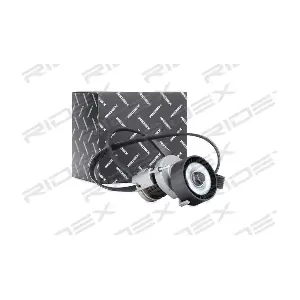 542R0049 RIDEX