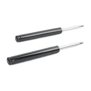 854S1695 RIDEX