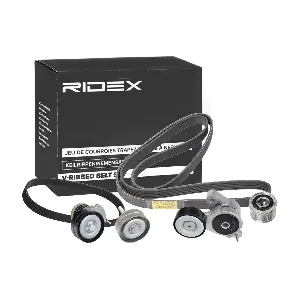 RIDEX 542R0321