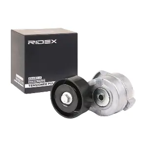 310T0234 RIDEX
