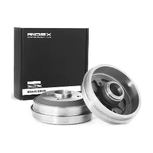RIDEX 123B0013