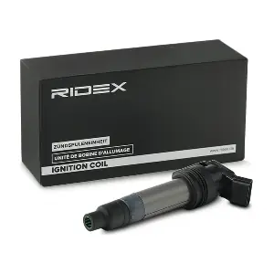 689C0289 RIDEX