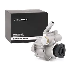 12H0113 RIDEX