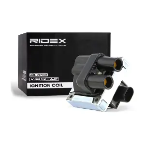 RIDEX 689C0012