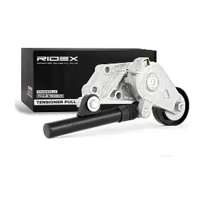 540T0010 RIDEX