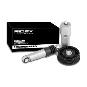 541V0024 RIDEX