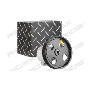 12H0203 RIDEX
