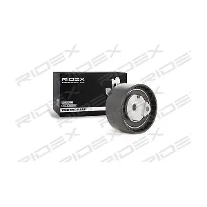 RIDEX 308T0069