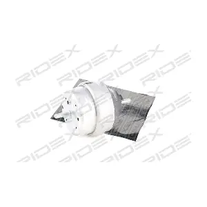RIDEX 247E0113