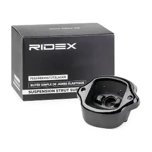 247E0166 RIDEX