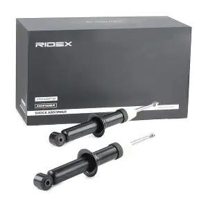 854S1738 RIDEX