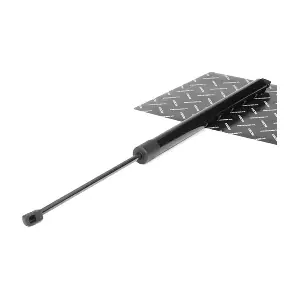 RIDEX 219G0691