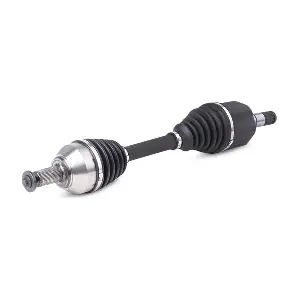 13D0646 RIDEX