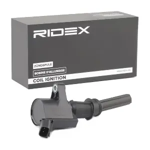 689C0334 RIDEX