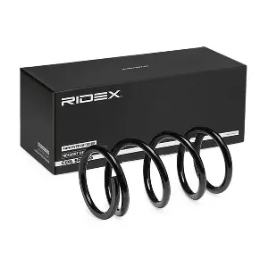 188C0620 RIDEX