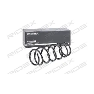 188C0250 RIDEX