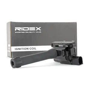 689C0060 RIDEX