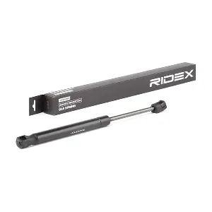 219G0737 RIDEX