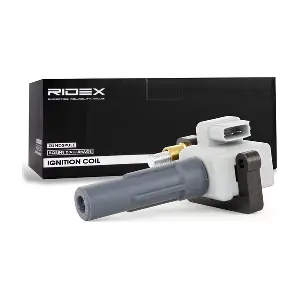 689C0238 RIDEX