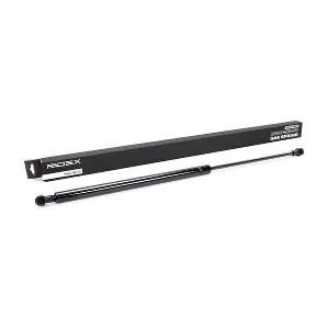 219G0093 RIDEX