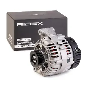 4G0787 RIDEX
