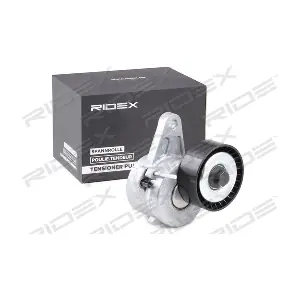 310T0293 RIDEX