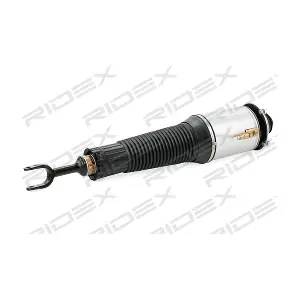 4118A0029 RIDEX