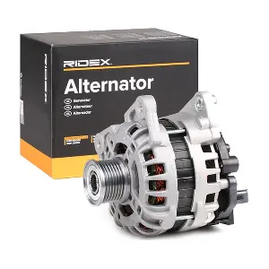4G0600 RIDEX