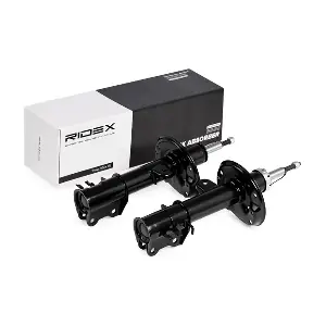 RIDEX 854S1374