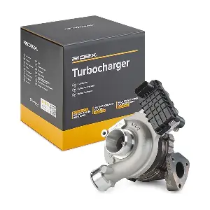 2234C10002 RIDEX