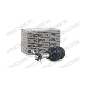 2462S0179 RIDEX
