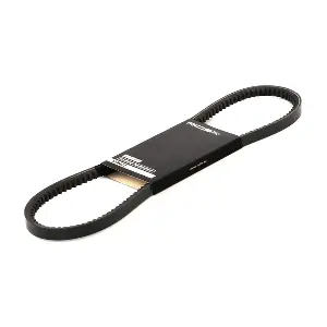 RIDEX 10C0038