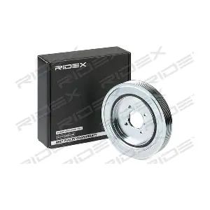 3213B0084 RIDEX