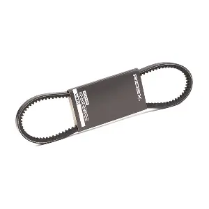 10C0033 RIDEX