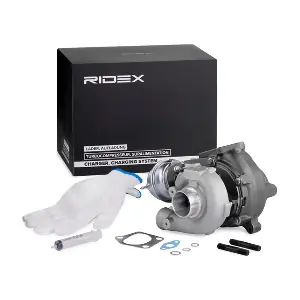 2234C0181 RIDEX