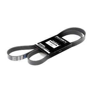 RIDEX 305P0079