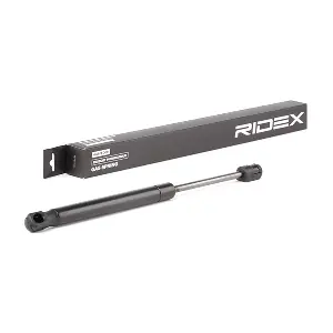 219G0928 RIDEX