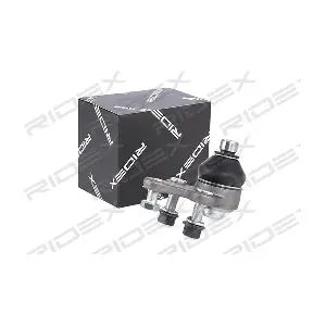 2462S0221 RIDEX