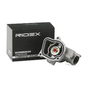 316T0060 RIDEX