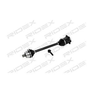 RIDEX 13D0078