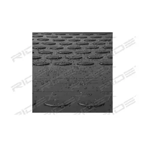 RIDEX 215A0868