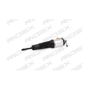 RIDEX 4118A0002