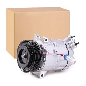 RIDEX 447K0055