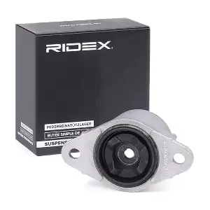 RIDEX 1180S0121