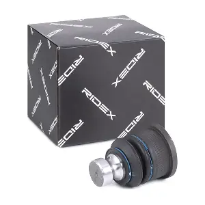 2462S0223 RIDEX