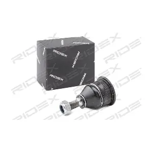 2462S0118 RIDEX