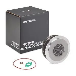 4973C0160 RIDEX