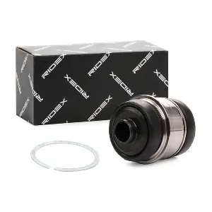 251T0020 RIDEX