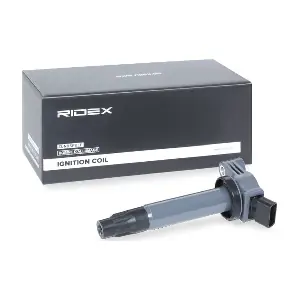RIDEX 689C0303